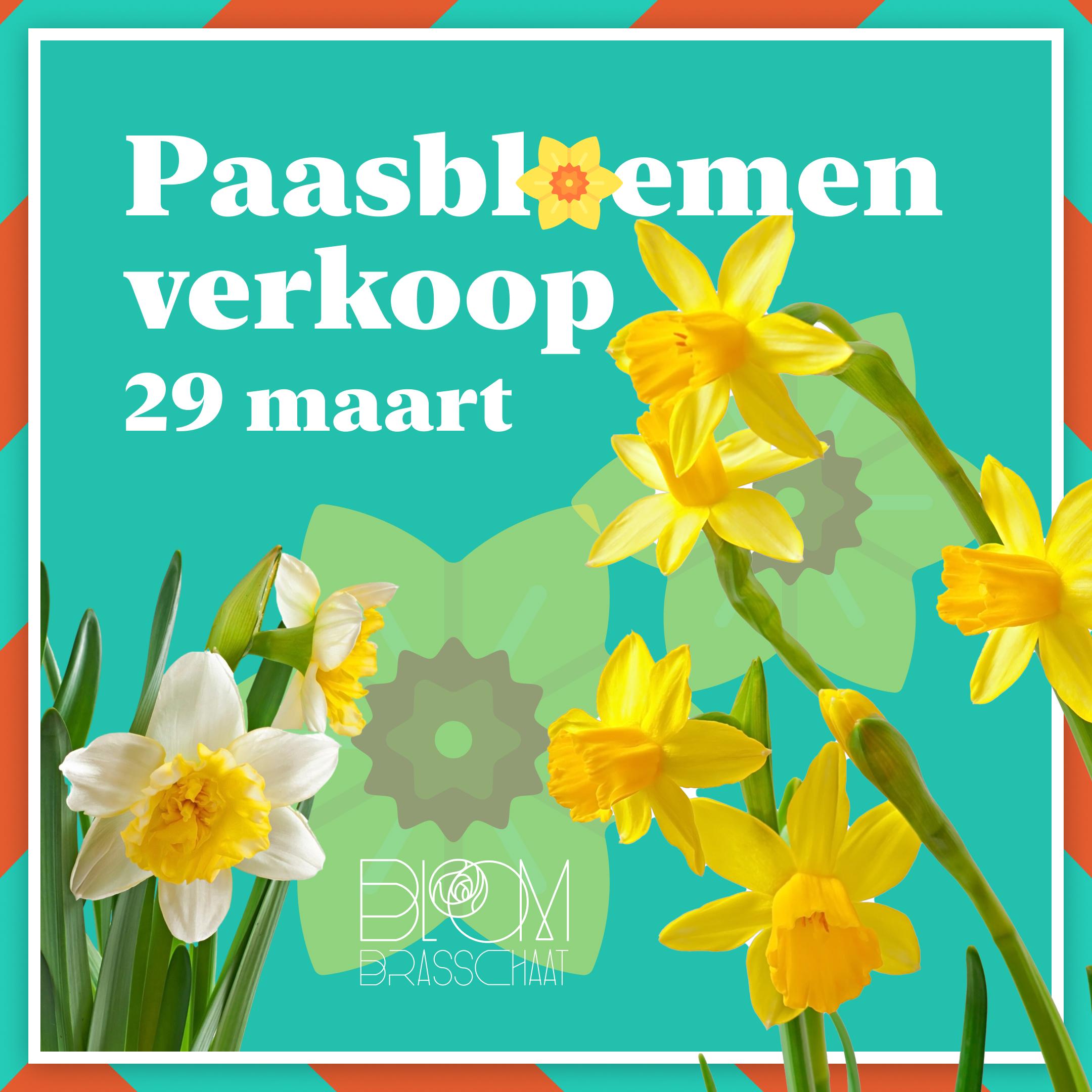 Post Paasbloemen (1).jpg