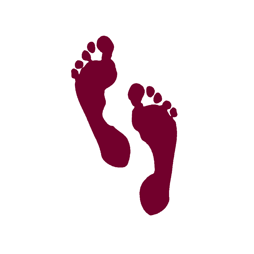logo jins.png